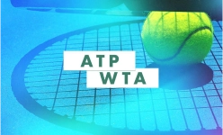 ATP-and-WTA-circuits-and-more-img